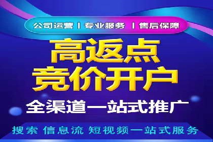 百度竞价代理操作手册：成功案例分析